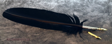 Hexenshop Dark Phönix Federkiel, Schreibfeder mit zwei austauschbarern Metallschreibfedern Schwarze Truthahnfeder